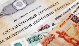 В России не существует проблем с выдачей сертификата на материнский капитал, заявили в Минтруде РФ