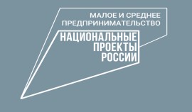 12 сентября в Грозном пройдет вытавка-ярмарка продукции самозанятых граждан и предпринимателей