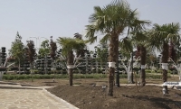 Строительство  парка  у комплекса высотных зданий «Грозный-Сити» близится  к завершению