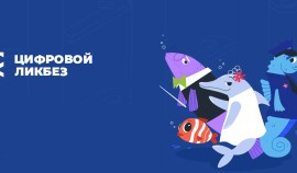 В России стартует Всероссийский проект «Цифровой ликбез»| грозный, чгтрк