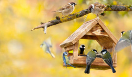 Объявлен республиканский эко-фото-конкурс для школьников Чеченской Республики