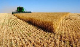 Более 75 000 гектаров земли будут включены в состав земель сельскохозяйственного назначения