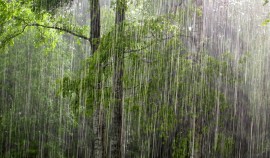 С 26 по 28 июля в ЧР ожидаются сильные дожди