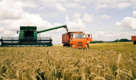 В Чеченской Республике уборка урожая зерновых составила 170 тыс. га