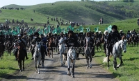 В Чечне установлен мировой рекорд массового конного похода  