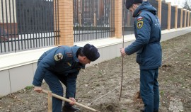 Сотрудники ГУ МЧС России по ЧР приняли участие в акции «Дерево в Раю»