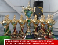 Ачхой-Мартан принял матчевую встречу по боксу между командами Чечни и Ставропольского края