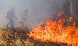 Пренебрежение правилами пожарной безопасности приводит к возникновению лесных пожаров