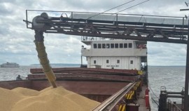 Россельхознадзор проконтролировал отправку 3,5 тыс. тонн ячменя из ЧР в астраханский порт