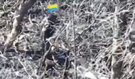 Батальон «Шрам» поразил укрытие с живой силой ВСУ в районе Северска| грозный, чгтрк