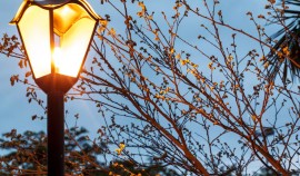 АО «Чеченэнерго»: 11 марта пройдут плановые отключения электричества в ряде районов ЧР| грозный, чгтрк