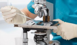 74 патента на разработки по борьбе с COVID-19 выдали в России