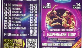 В Грозном с 1 по 14 июня пройдет цирковая программа 