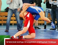 Чеченские борцы празднуют очередные победы