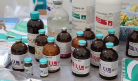 Россельхознадзор заблокировал 32 сайта с незаконной продажей ветеринарных препаратов