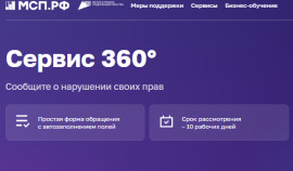 На цифровой платформе МСП.РФ запустили сервис «360°»