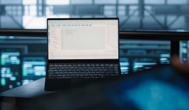Искусственный интеллект помог выявить нарушения в системе ветеринарного контроля ЧР| грозный, чгтрк