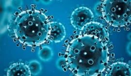 В ЧР выявлено 4 случая заражения коронавирусом