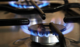 Совфед предлагает наказывать за недопуск газовиков в квартиры