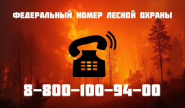 Минприроды ЧР рекомендует соблюдать правила пожарной безопасности| грозный, чгтрк