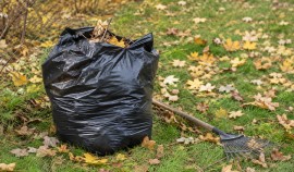Минприроды ЧР проводит осенние экологические субботники