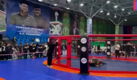 В Грозном состоялся турнир по ММА памяти Абушейха Висмурадова| грозный, чгтрк