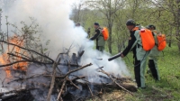 В Чечне действует горячая линия, куда можно позвонить и сообщить о лесном пожаре 