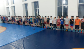 В Шелковском районе в рамках марафона «Сила России» прошла открытая тренировка по вольной борьбе