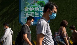 Новый вид генипавируса обнаружили в Китае