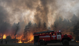 Более 130 природных пожаров выявили в России за сутки