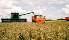 Аграрии ЧР проводят уборку зерновых с опережением графика