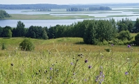 Правительство одобрило создание охраняемой природной территории на границе с Белоруссией