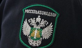 Более 180 нарушений выявлено при мониторинге «Меркурия» в Чеченской Республике