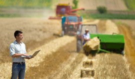 Ставка на технологии: как нацпроект развивает АПК