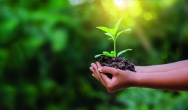 Объявлен ежегодный конкурс на соискание звания лауреата Международной экологической премии