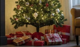 ВТБ выяснил, сколько россиян будут использовать ИИ при планировании Нового года| грозный, чгтрк