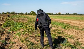 Сводный пиротехнический отряд МЧС России разминирует сельхозугодья в республике