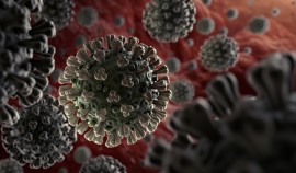 В ЧР выявлен 1 случай заражения коронавирусом