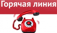 В ЧР открыты горячии линии по вопросам проведения ЕГЭ и ОГЭ
