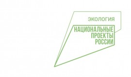 Важное направление нацпроекта «Экология» — это преобразование всей системы обращения с отходами в РФ