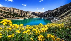 Чеченская Республика улучшила показатели в Национальном экологическом рейтинге