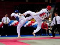 Три чеченских спортсмена стали призерами чемпионата России по тхэквондо 