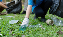 В Грозненском районе прошёл экологический субботник в рамках всероссийской акции «Зелёная Россия»