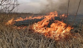 Cжигание бытового мусора, сухой травы и листьев может стать причиной серьезного пожара