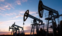 "Чеченнефтехимпром" купил права на три участка углеводородов в Чечне