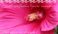 Чечня готовится отмечать День чеченской женщины