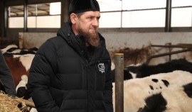 Рамзан Кадыров рассказал о достижениях АПК Чеченской Республики
