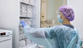 В России продлили упрощенный порядок регистрации лекарств еще на год