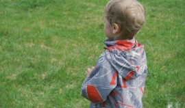 В Чеченской Республике при падении с дерева скончался пятилетний ребенок