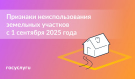 Установлены критерии неиспользования участков: что нужно учитывать собственникам земли с 1 сентября